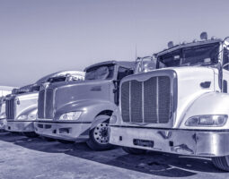 Domestic Shipping: Choosing Between FTL & LTL